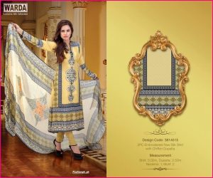 2PC Embroidered Raw Silk With Shafoon Dupatta-2